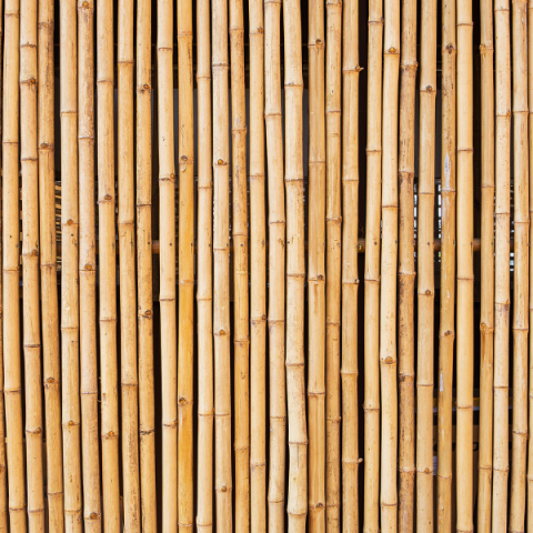 Fidan Destek Çubuğu (Bambu Çubuğu)